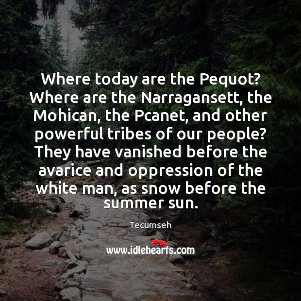 Where today are the Pequot? Where are the Narragansett, the Mohican, the Summer Quotes Image