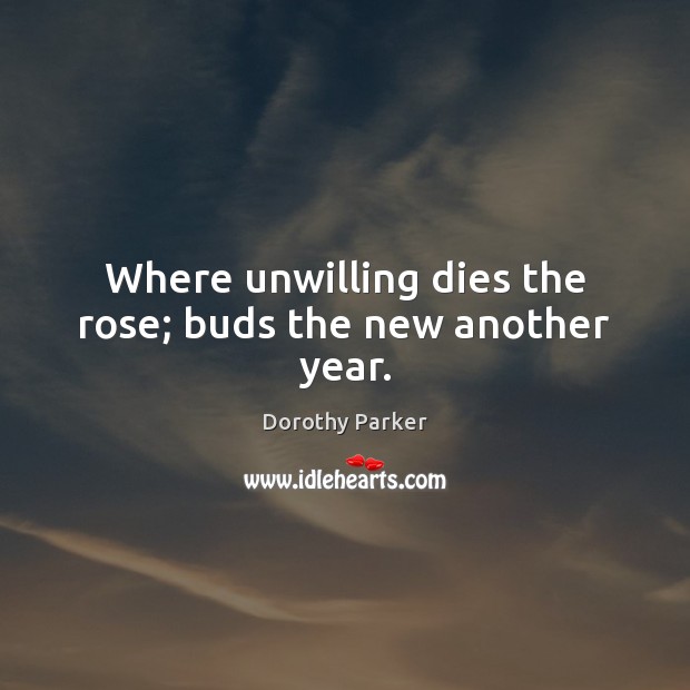 Where unwilling dies the rose; buds the new another year. Dorothy Parker Picture Quote