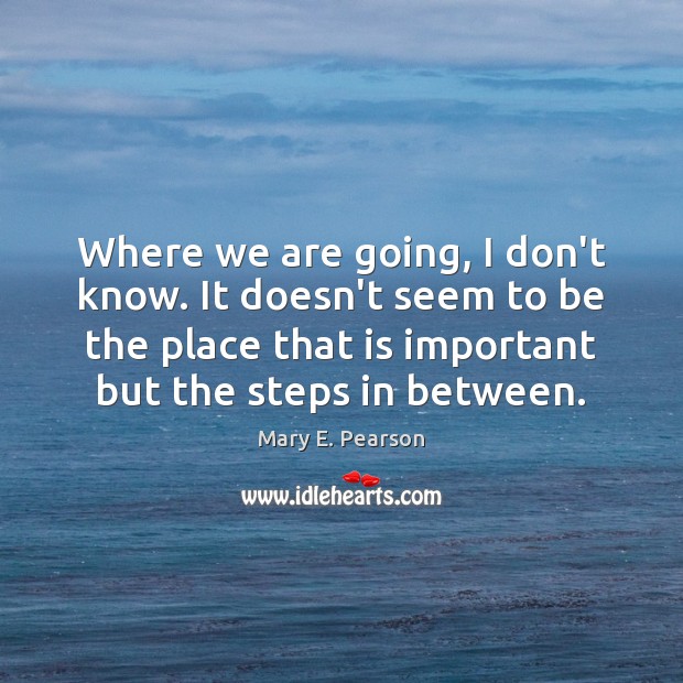 Where we are going, I don’t know. It doesn’t seem to be Mary E. Pearson Picture Quote