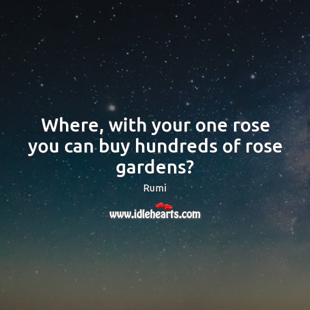 Where, with your one rose you can buy hundreds of rose gardens? Rumi Picture Quote