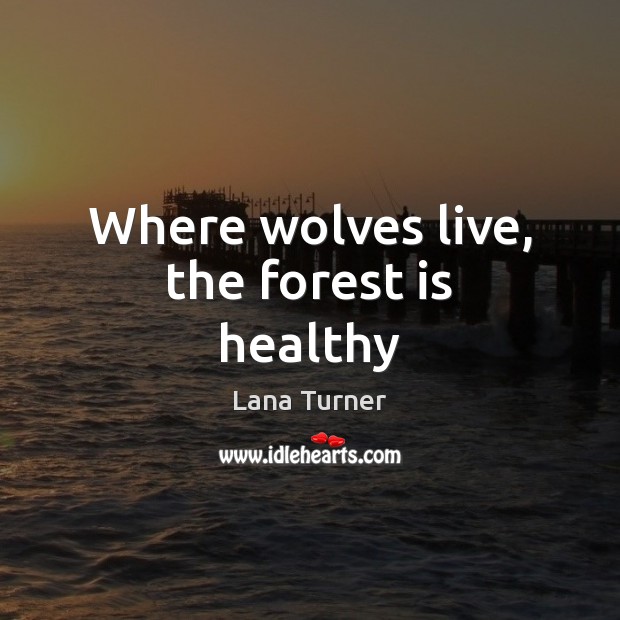 Where wolves live, the forest is healthy Lana Turner Picture Quote