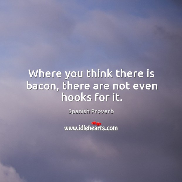 Where you think there is bacon, there are not even hooks for it. Image