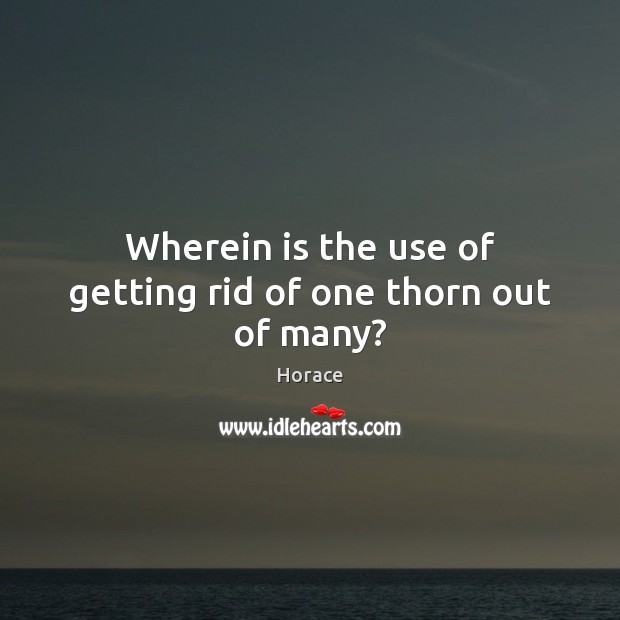 Wherein is the use of getting rid of one thorn out of many? Horace Picture Quote