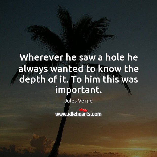 Wherever he saw a hole he always wanted to know the depth Jules Verne Picture Quote