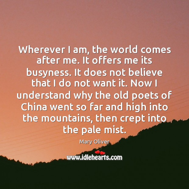 Wherever I am, the world comes after me. It offers me its Image