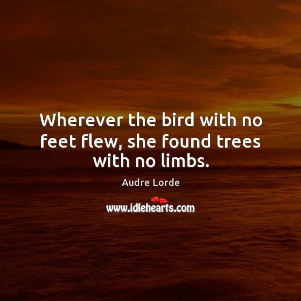Wherever the bird with no feet flew, she found trees with no limbs. Image