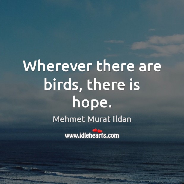 Wherever there are birds, there is hope. Mehmet Murat Ildan Picture Quote