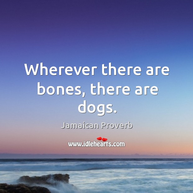 Wherever there are bones, there are dogs. Jamaican Proverbs Image