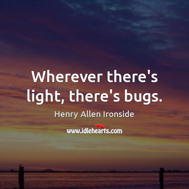Wherever there’s light, there’s bugs. Henry Allen Ironside Picture Quote