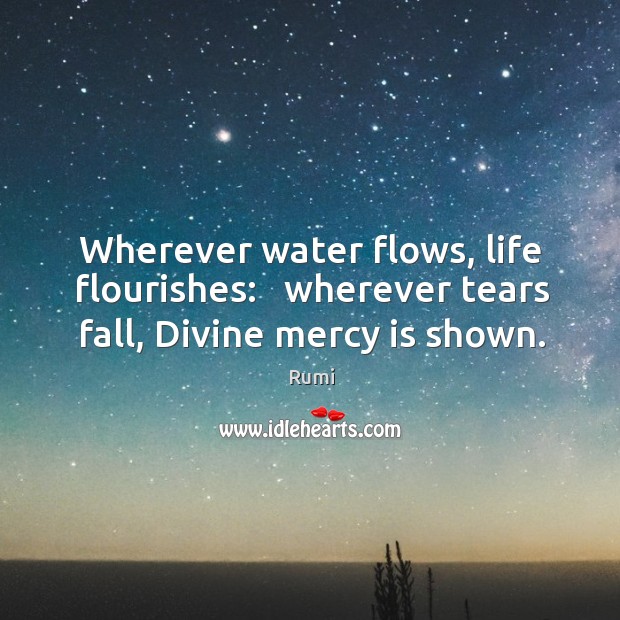 Wherever water flows, life flourishes:   wherever tears fall, Divine mercy is shown. Rumi Picture Quote