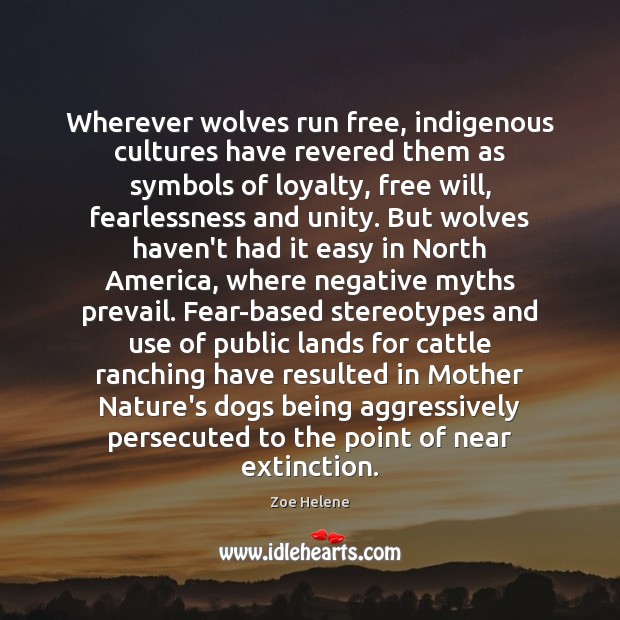 Wherever wolves run free, indigenous cultures have revered them as symbols of Zoe Helene Picture Quote