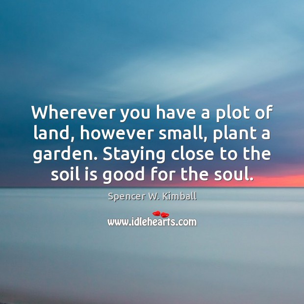 Wherever you have a plot of land, however small, plant a garden. Spencer W. Kimball Picture Quote
