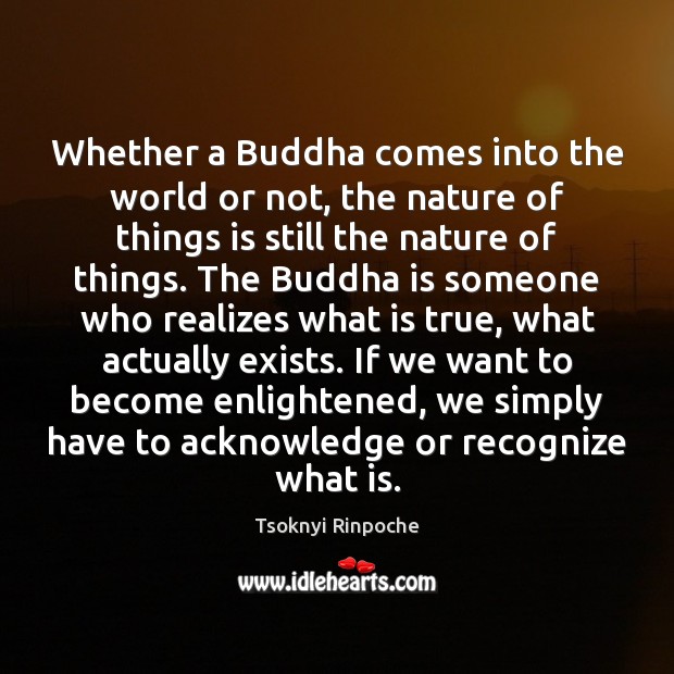 Whether a Buddha comes into the world or not, the nature of Tsoknyi Rinpoche Picture Quote