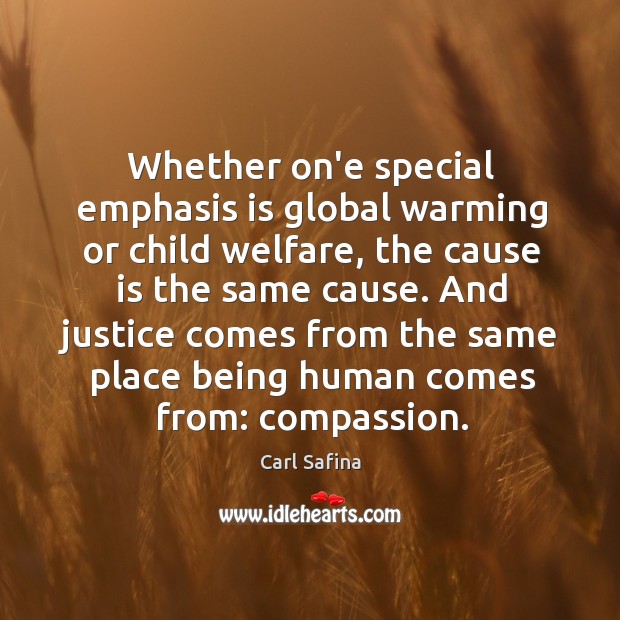 Whether on’e special emphasis is global warming or child welfare, the cause Carl Safina Picture Quote