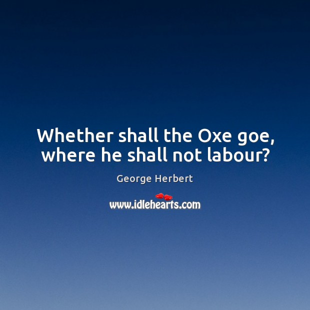 Whether shall the Oxe goe, where he shall not labour? Image