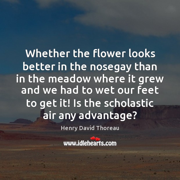 Whether the flower looks better in the nosegay than in the meadow Henry David Thoreau Picture Quote