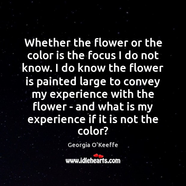 Whether the flower or the color is the focus I do not Georgia O’Keeffe Picture Quote