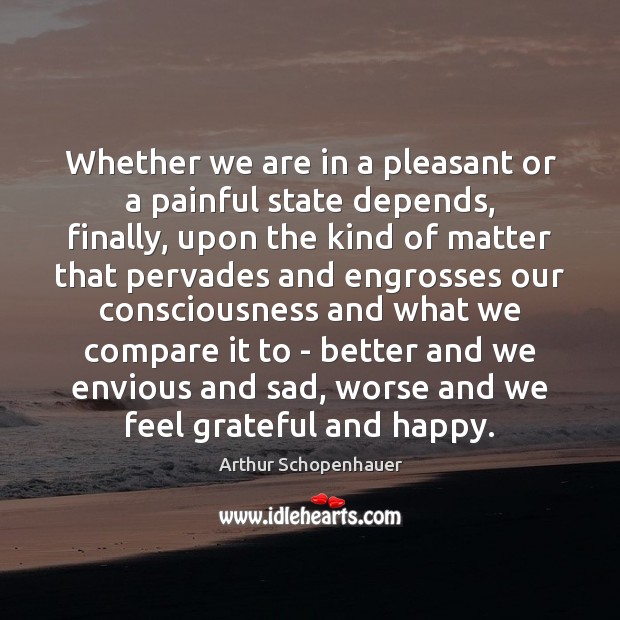 Whether we are in a pleasant or a painful state depends, finally, Arthur Schopenhauer Picture Quote