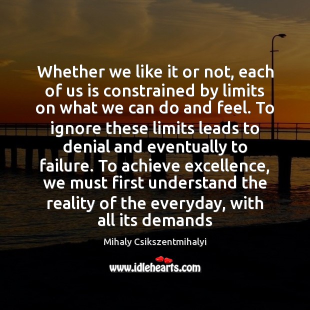 Whether we like it or not, each of us is constrained by Mihaly Csikszentmihalyi Picture Quote