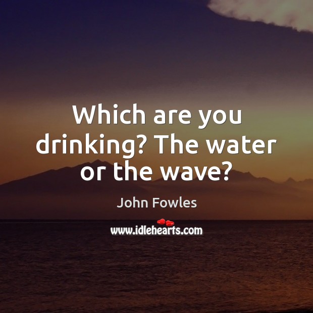 Which are you drinking? The water or the wave? John Fowles Picture Quote