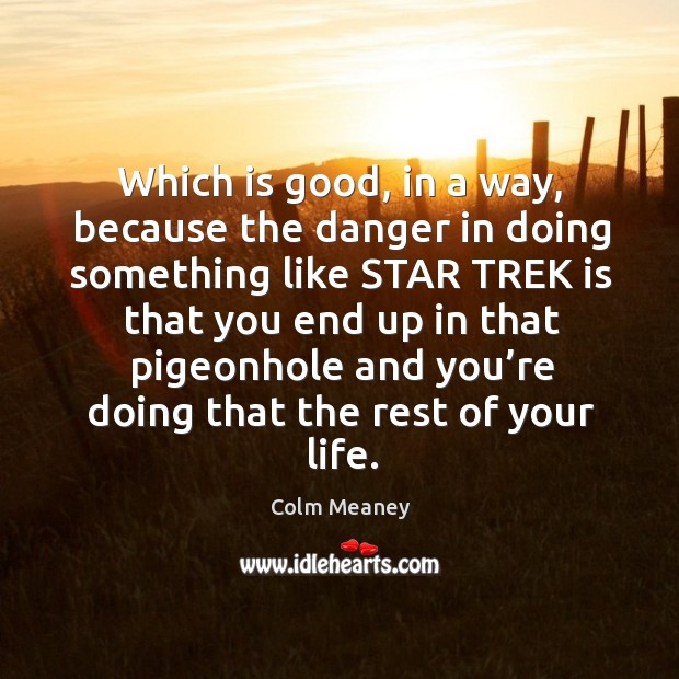 Which is good, in a way, because the danger in doing something like star trek is that Colm Meaney Picture Quote