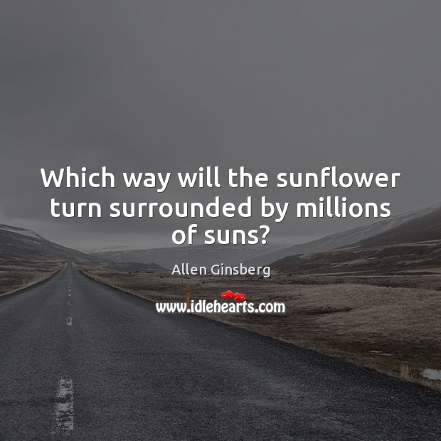 Which way will the sunflower turn surrounded by millions of suns? Image