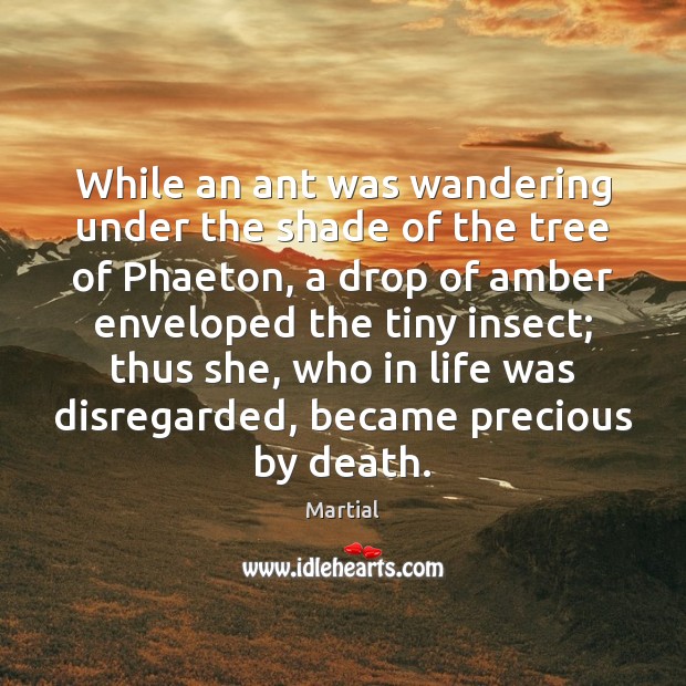 While an ant was wandering under the shade of the tree of Martial Picture Quote