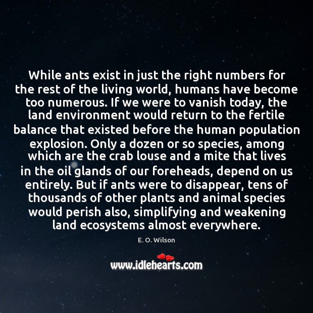 While ants exist in just the right numbers for the rest of Environment Quotes Image