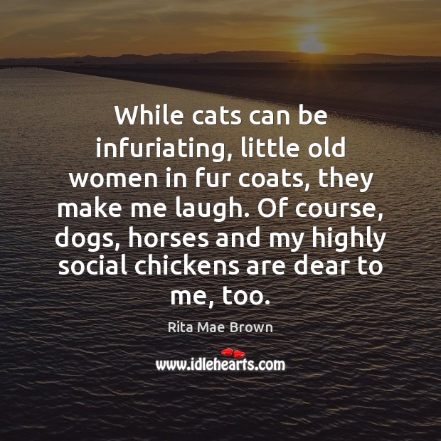 While cats can be infuriating, little old women in fur coats, they Rita Mae Brown Picture Quote