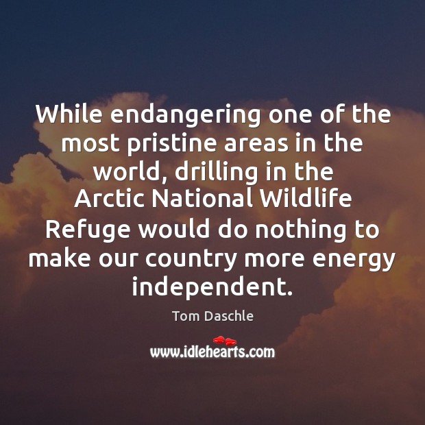While endangering one of the most pristine areas in the world, drilling Tom Daschle Picture Quote