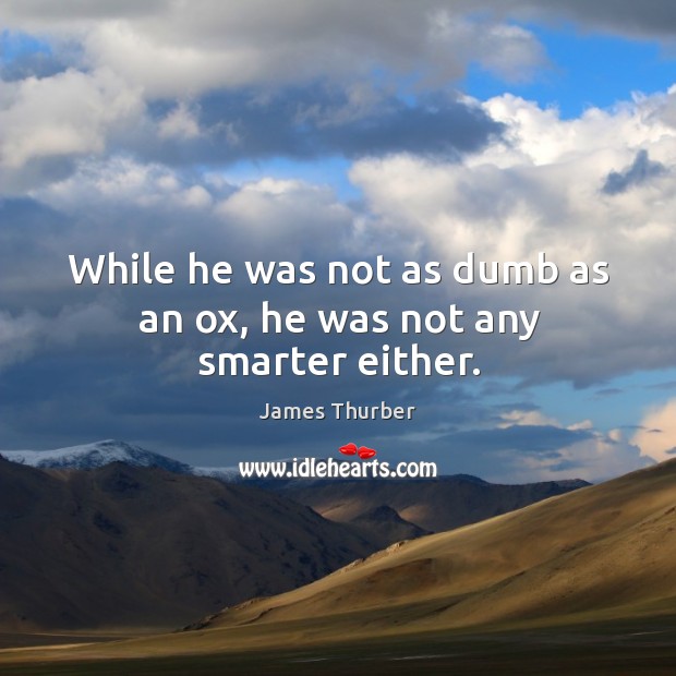 While he was not as dumb as an ox, he was not any smarter either. James Thurber Picture Quote