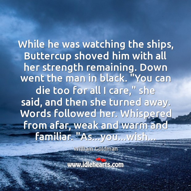 While he was watching the ships, Buttercup shoved him with all her William Goldman Picture Quote