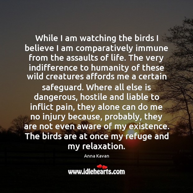 While I am watching the birds I believe I am comparatively immune Anna Kavan Picture Quote