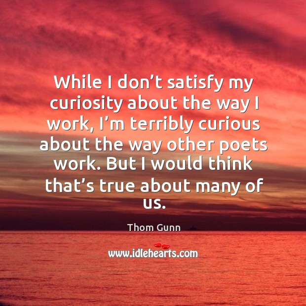While I don’t satisfy my curiosity about the way I work Thom Gunn Picture Quote