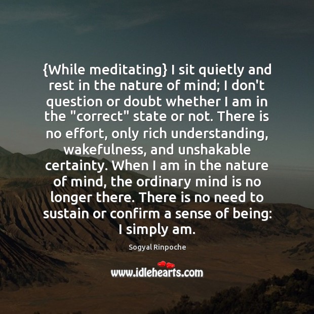 {While meditating} I sit quietly and rest in the nature of mind; 