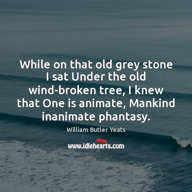 While on that old grey stone I sat Under the old wind-broken William Butler Yeats Picture Quote