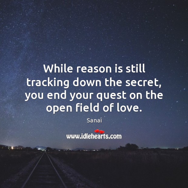 While reason is still tracking down the secret, you end your quest Sanai Picture Quote