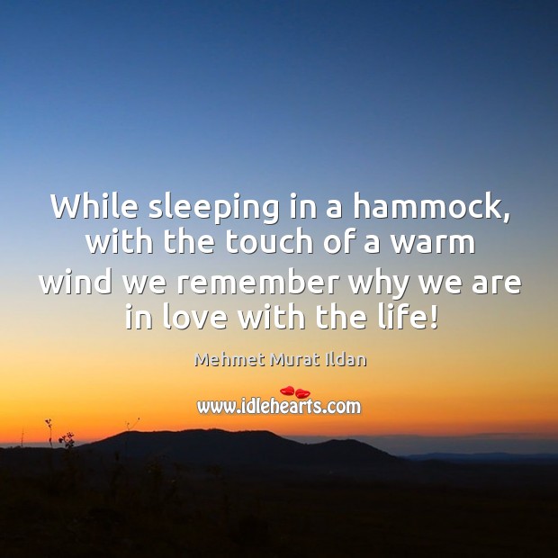 While sleeping in a hammock, with the touch of a warm wind Image