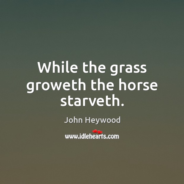 While the grass groweth the horse starveth. John Heywood Picture Quote