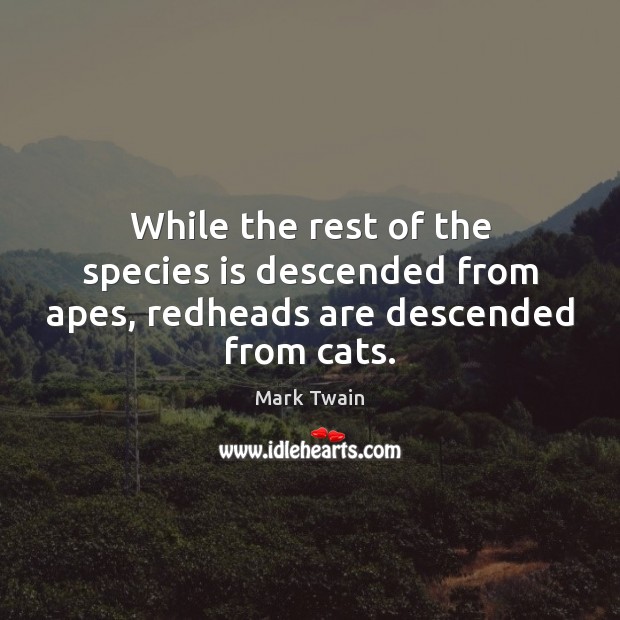 While the rest of the species is descended from apes, redheads are descended from cats. Mark Twain Picture Quote