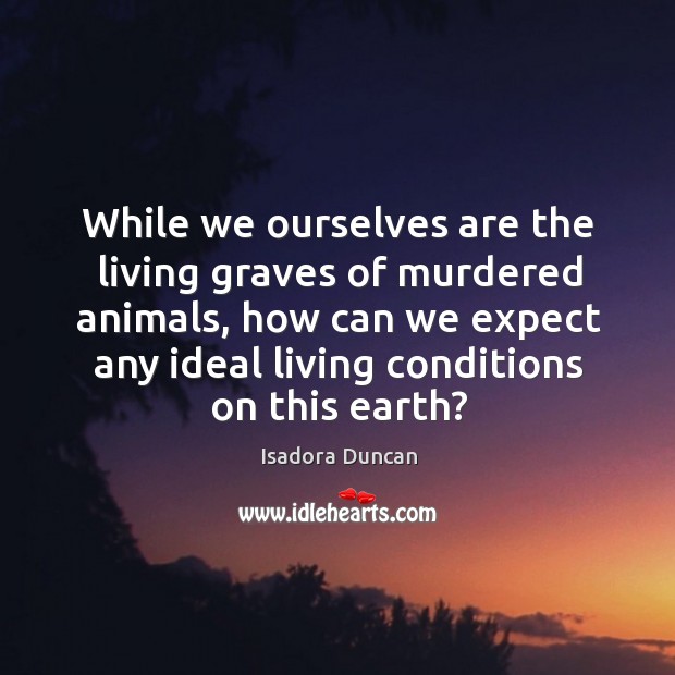 While we ourselves are the living graves of murdered animals, how can we expect any ideal living conditions on this earth? Isadora Duncan Picture Quote