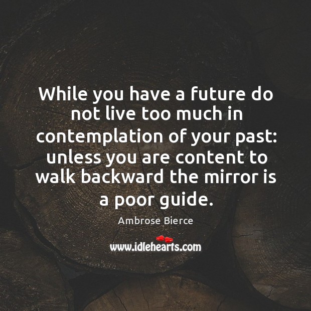 While you have a future do not live too much in contemplation Image
