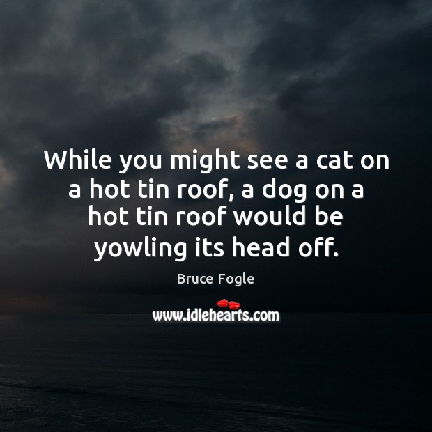 While you might see a cat on a hot tin roof, a Bruce Fogle Picture Quote