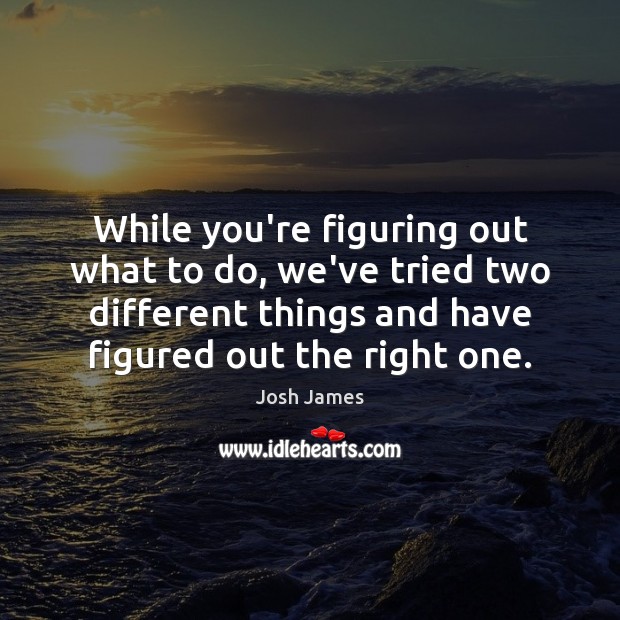 While you’re figuring out what to do, we’ve tried two different things Josh James Picture Quote