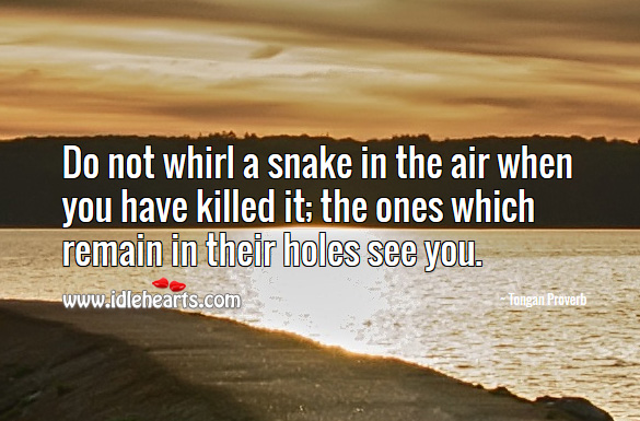 Do not whirl a snake in the air when you have killed it; the ones which remain in their holes see you. Tongan Proverbs Image