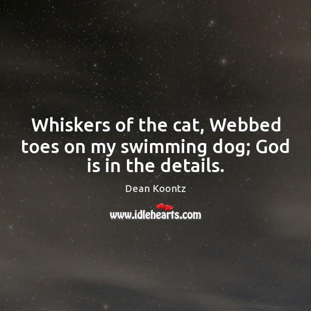 Whiskers of the cat, Webbed toes on my swimming dog; God is in the details. Image