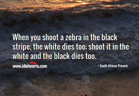 When you shoot a zebra in the black stripe, the white dies too; shoot it in the white and the black dies too. South African Proverbs Image