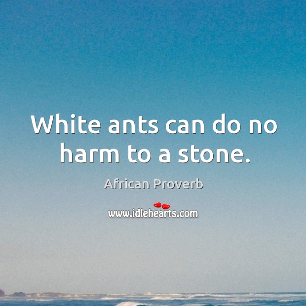 White ants can do no harm to a stone. Image