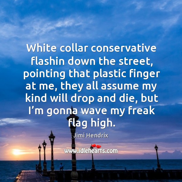 White collar conservative flashin down the street, pointing that plastic finger at me Jimi Hendrix Picture Quote