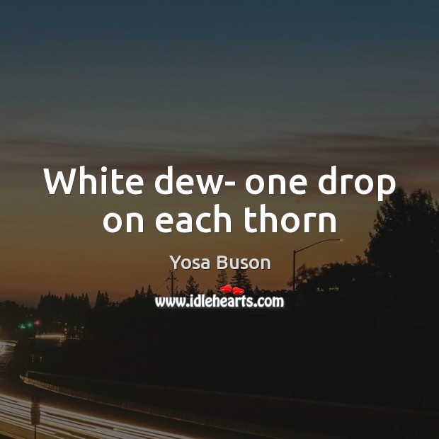 White dew- one drop on each thorn Yosa Buson Picture Quote